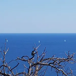 https://pepa-house.sicilyhotelsitaly.net